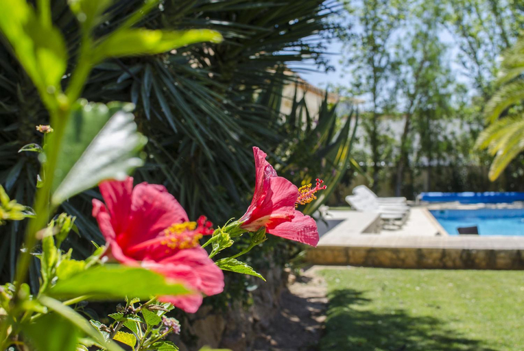 Sport & Beauty 2, Villa Caravela by Algarve Holidays, Loulé