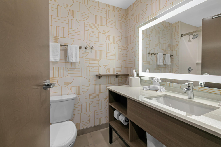 Bathroom 3, Home2 Suites by Hilton Somerset, Pulaski