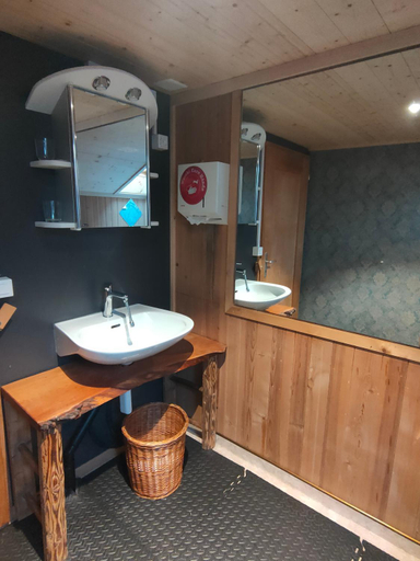 Bathroom 3, Panorama Hotel Wagenkehr, Oberhasli