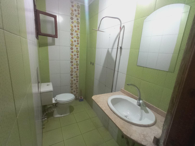 Bathroom 2, Aswan City Center Guest House, Aswan