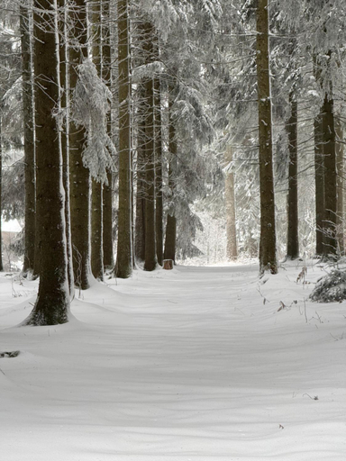 Others 4, Naturfreundehaus Brend, Schwarzwald-Baar-Kreis