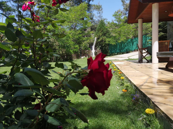 Garden 2, Villa Enriette - Panoramic Mountain Retreat in Pano Platres, Cyprus