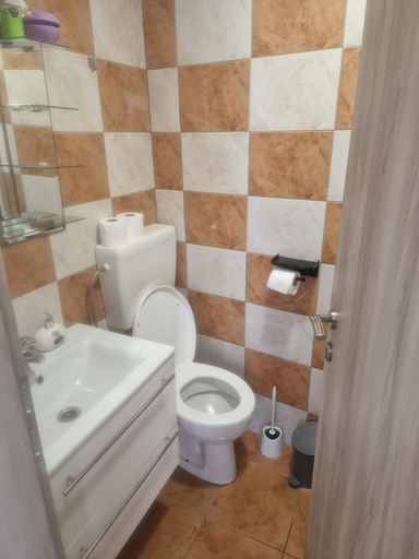 Bathroom 3, Apartma Alja Podkoren, Kranjska Gora