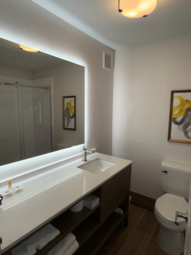 Bathroom 4, Comfort Suites Lincoln North, Lancaster