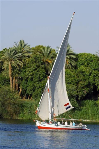 Others 5, SmSm Kato, Aswan