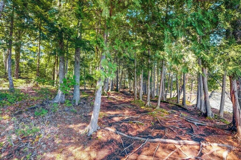 View from property 5, Dog-friendly Lakefront Home With Deck, Grill, Wifi, Shared Dock & Water Access, Piscataquis