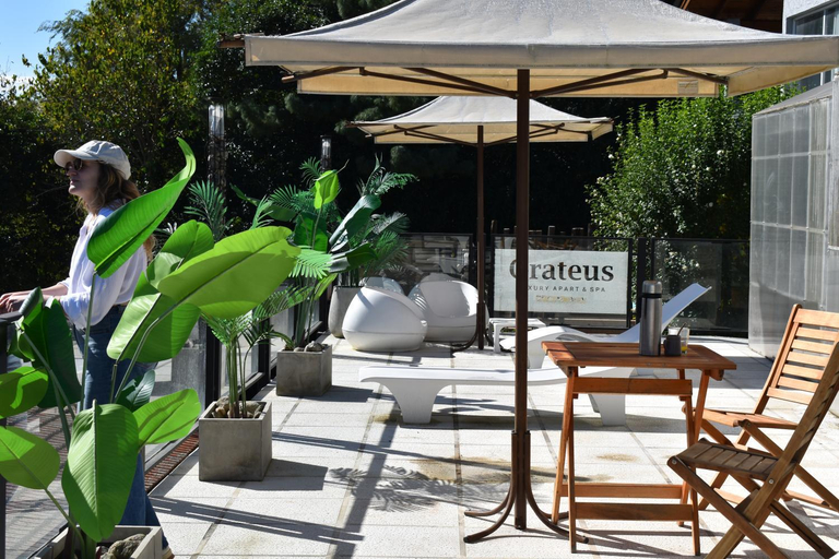 Others 2, Grateus Luxury Apart & Spa, Calamuchita