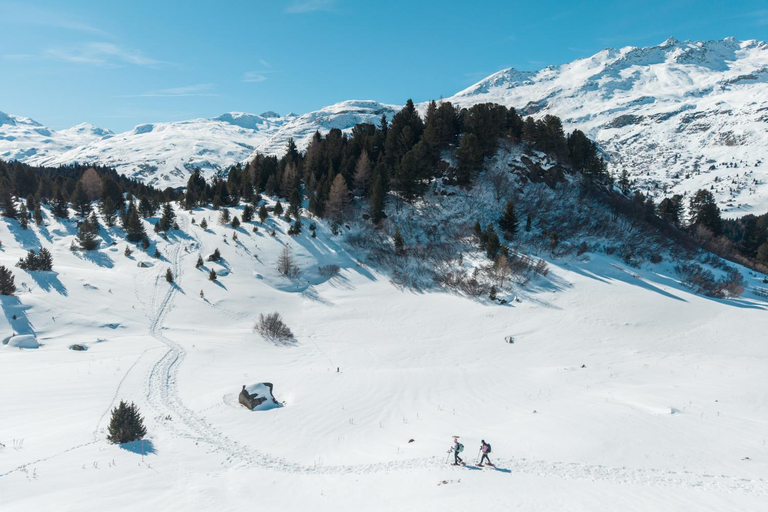Others 4, Villa Carisch, Albula
