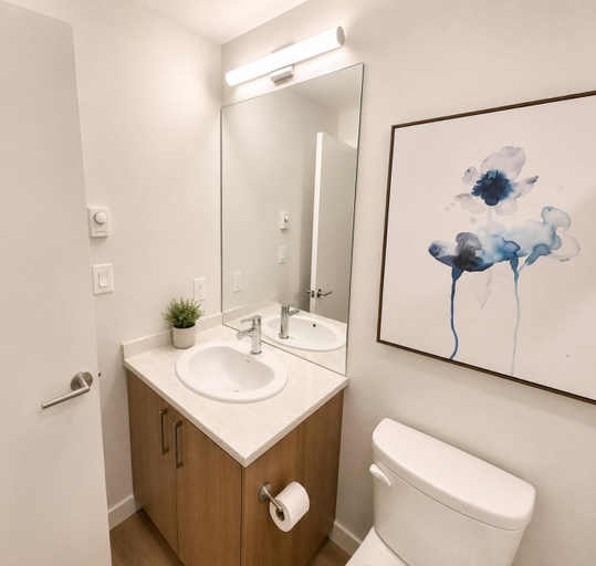 Others 4, Perfect Brand New Studio Downtown Sidney, Capital