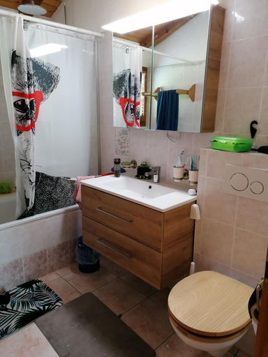 Bathroom, Les Combles des Combes, Aigle
