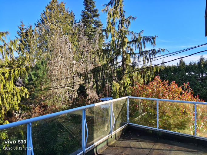 Others 4, Vancouver Airport Blueberry Manor, Greater Vancouver