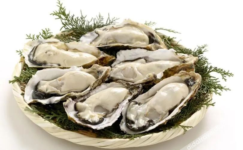 Food & Drinks 5, Shell Hotel Rizhao Wanpingkou Lighthouse Scenic Area 2nd Haibin Road, Rizhao