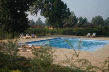 Swimming pool 4, Bandhav Vilas, Umaria