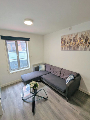 Living area 3, Phoenix court - Flat 19, Sheffield