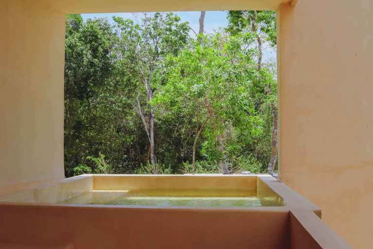 Private pool 5, Artra Jungle Residences Tulum, Cozumel