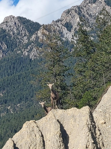 Others 4, Misty River Lodge -, East Kootenay