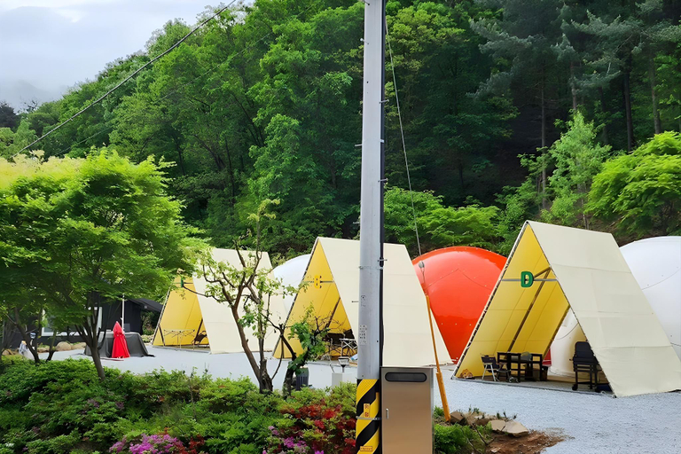 Others 3, Wonju Forest Dome, Wonju