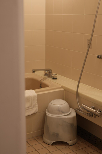 Bathroom 5, MOTOSU PHOENIX HOTEL, Fujikawaguchiko