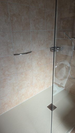 Bathroom, L'Aurosee, Sion