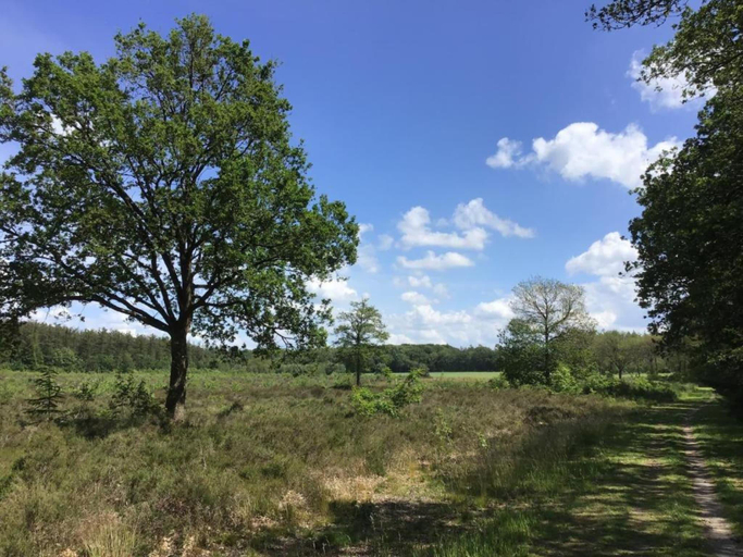 Others 3, Lodge in Drenthe with Scenic Veranda, De Wolden