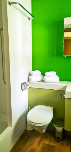 Bathroom 3, Apartment Bussalp - Aare Jungfrau AG, Interlaken