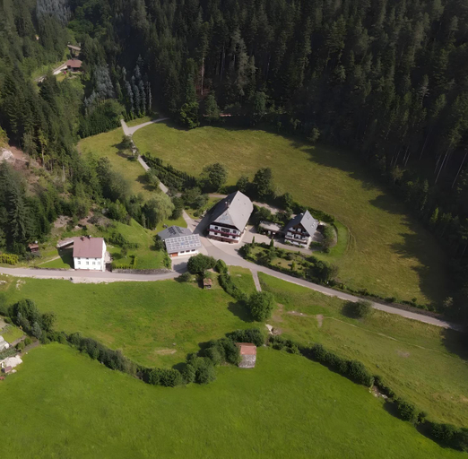 Others 3, Waldbauernhof, Ortenaukreis
