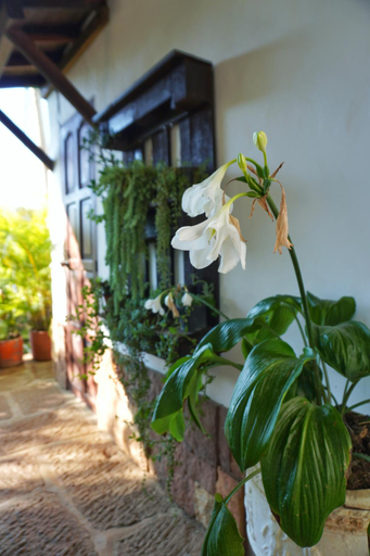 Others 4, Hostal Villa San Rafael, Barichara