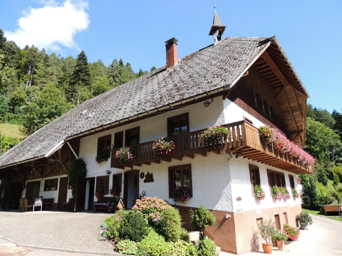 Others 4, Waldbauernhof, Ortenaukreis