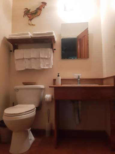 Bathroom, Marita's Bed and Breakfast, Tilarán