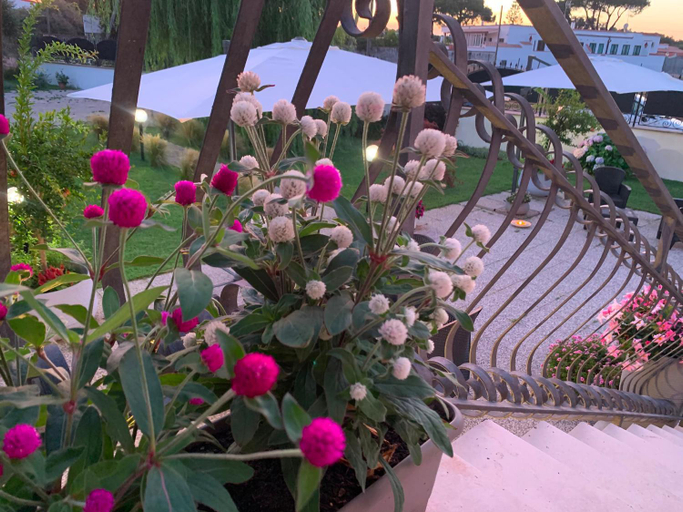 Others 3, Euphoria Guest House, Latina
