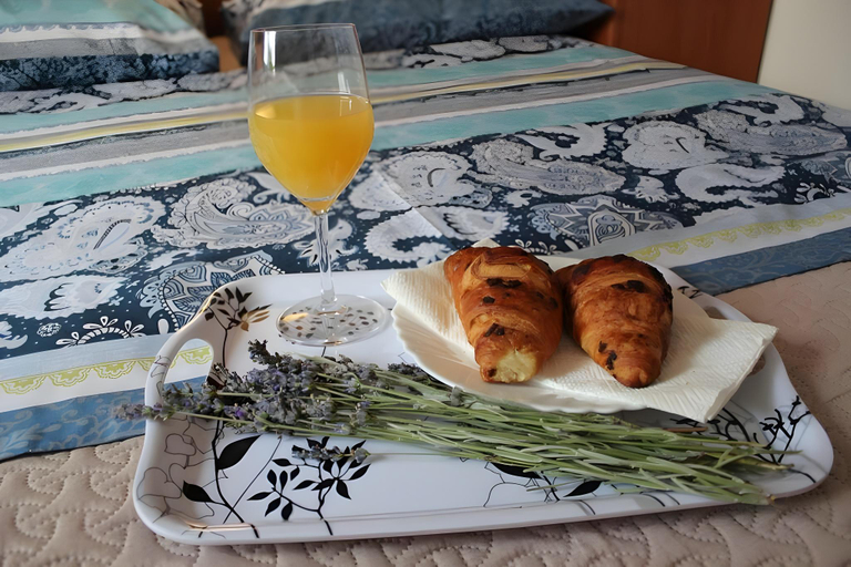 5, Orhideja Apartment, sleeps 4, Preko