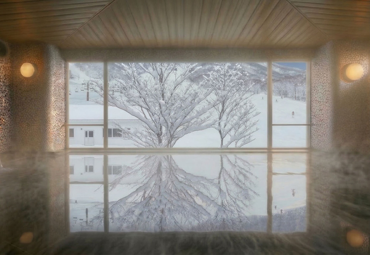 Interior 3, THE ALPS HOTEL HAKUBA, Otari