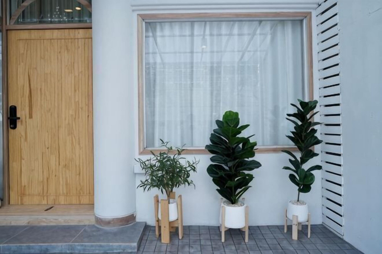 Others 5, Lapin No.8, Muang Chiang Mai