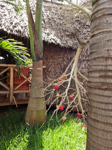 Others 3, Moshi hostel lodge, Moshi Urban