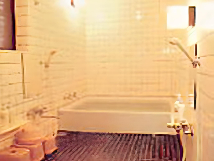 Bathroom, Shimayado Segawa, Nanao