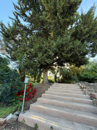 Others 5, Auburn Garden Suites, Clare and Gilbert Valleys