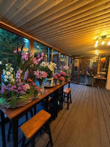 Food & Drinks, Cabana Din Poienita, Brasov