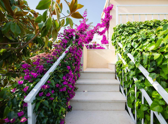 Garden 3, Apartments Roda, Supetar