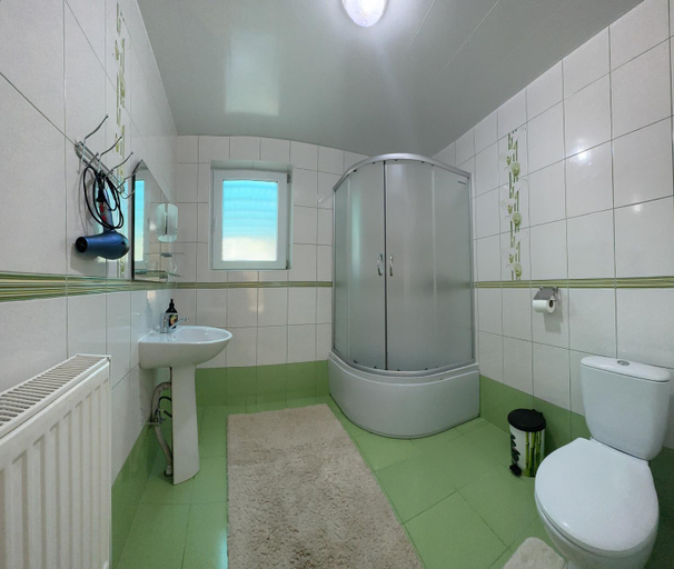 Bathroom 3, Садиба у Брусків, Mizhhirs'kyi