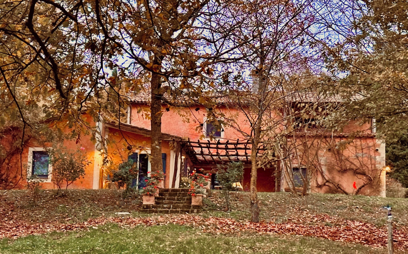 Primary image