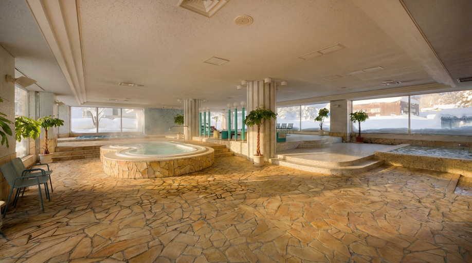 Pool, THE ALPS HOTEL HAKUBA, Otari