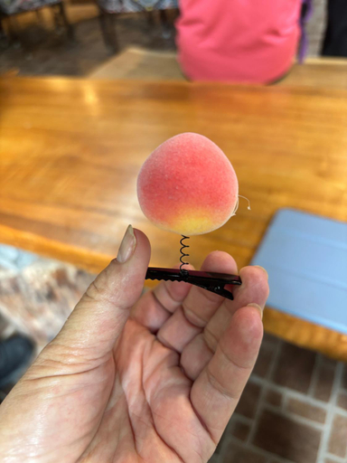Food & Drinks 5, 山蘇的故鄉 桃園市民宿130號, Taoyuan