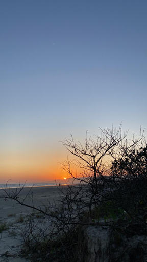 Others 5, LARA'S HOUSE, São Sebastião