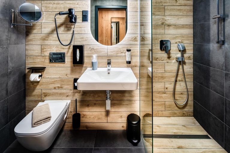 Bathroom 3, DAS ERZ Medical Spa & Hotel, Erzgebirgskreis