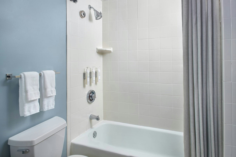 Bathroom 3, Atlanta Evergreen Lakeside Resort, DeKalb
