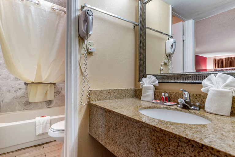 Bathroom 4, Econo Lodge Oxford near Choccolocco Park, Calhoun