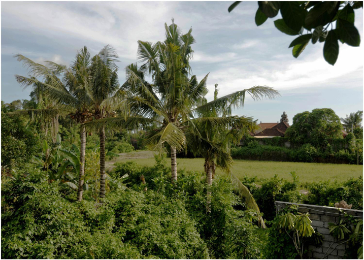 Others 4, The Lod Villa, Gianyar