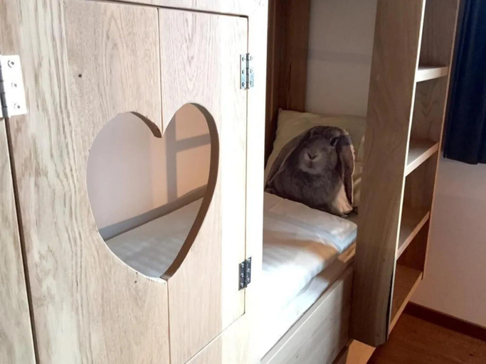 Room 4, Scenic Alpine Stay With Balcony Views and Sauna, Zell am See