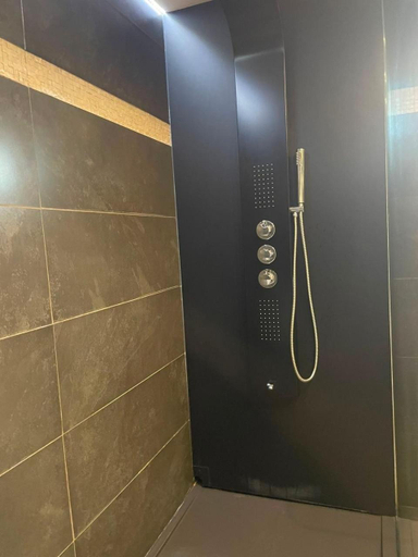 Bathroom 4, La Canopee des Arbres, Anna, Hainaut