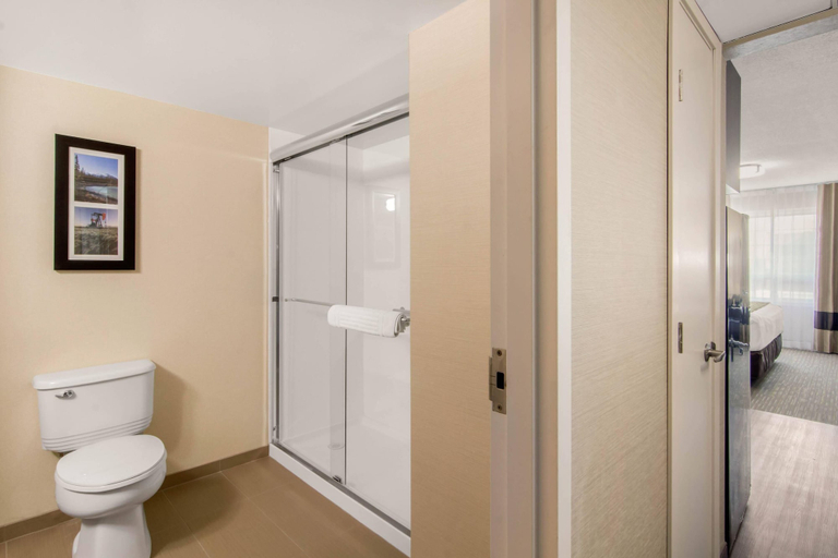 Bathroom 5, Comfort Inn & Suites Red Deer, Division No. 8